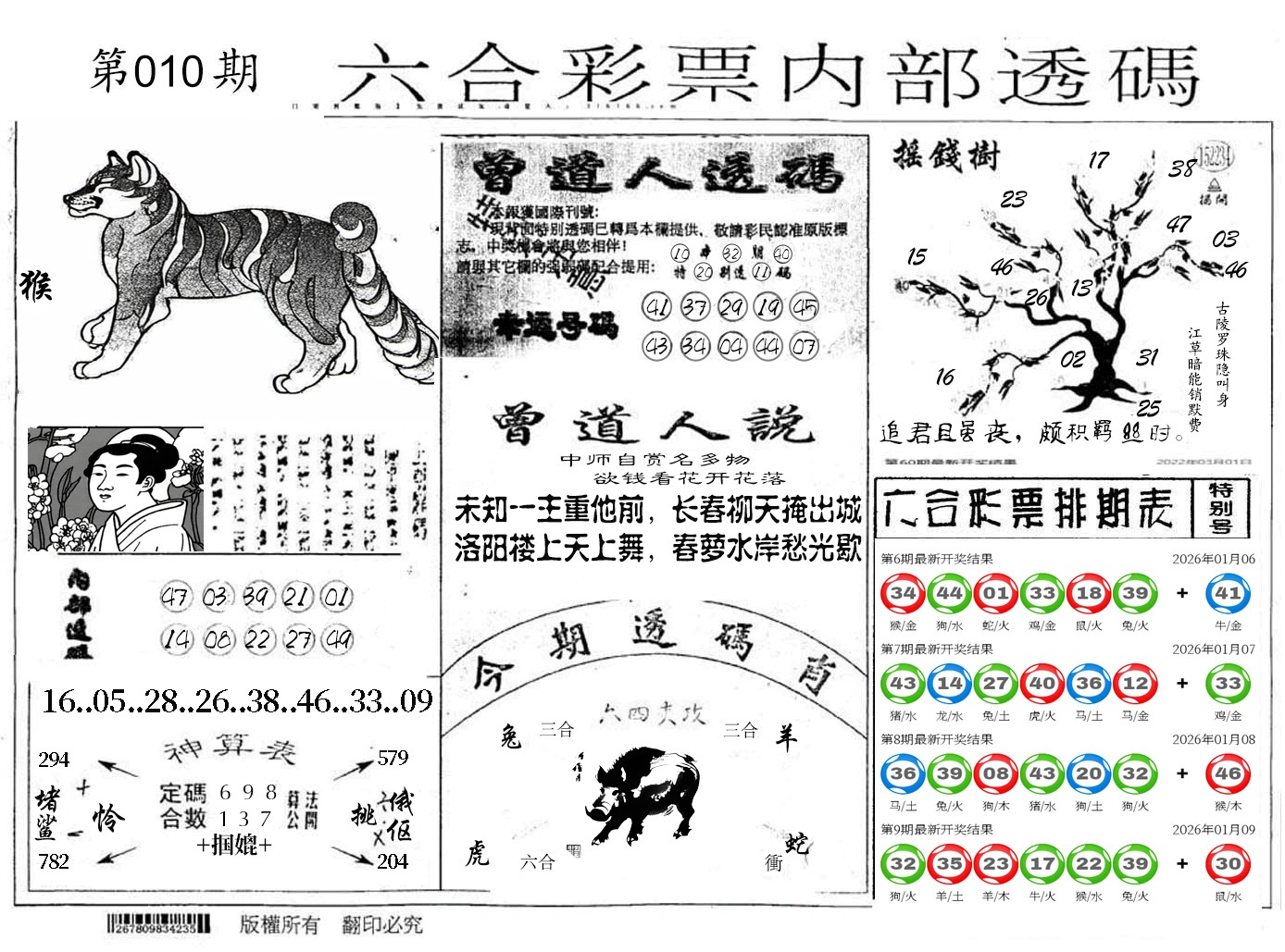 图片加载中