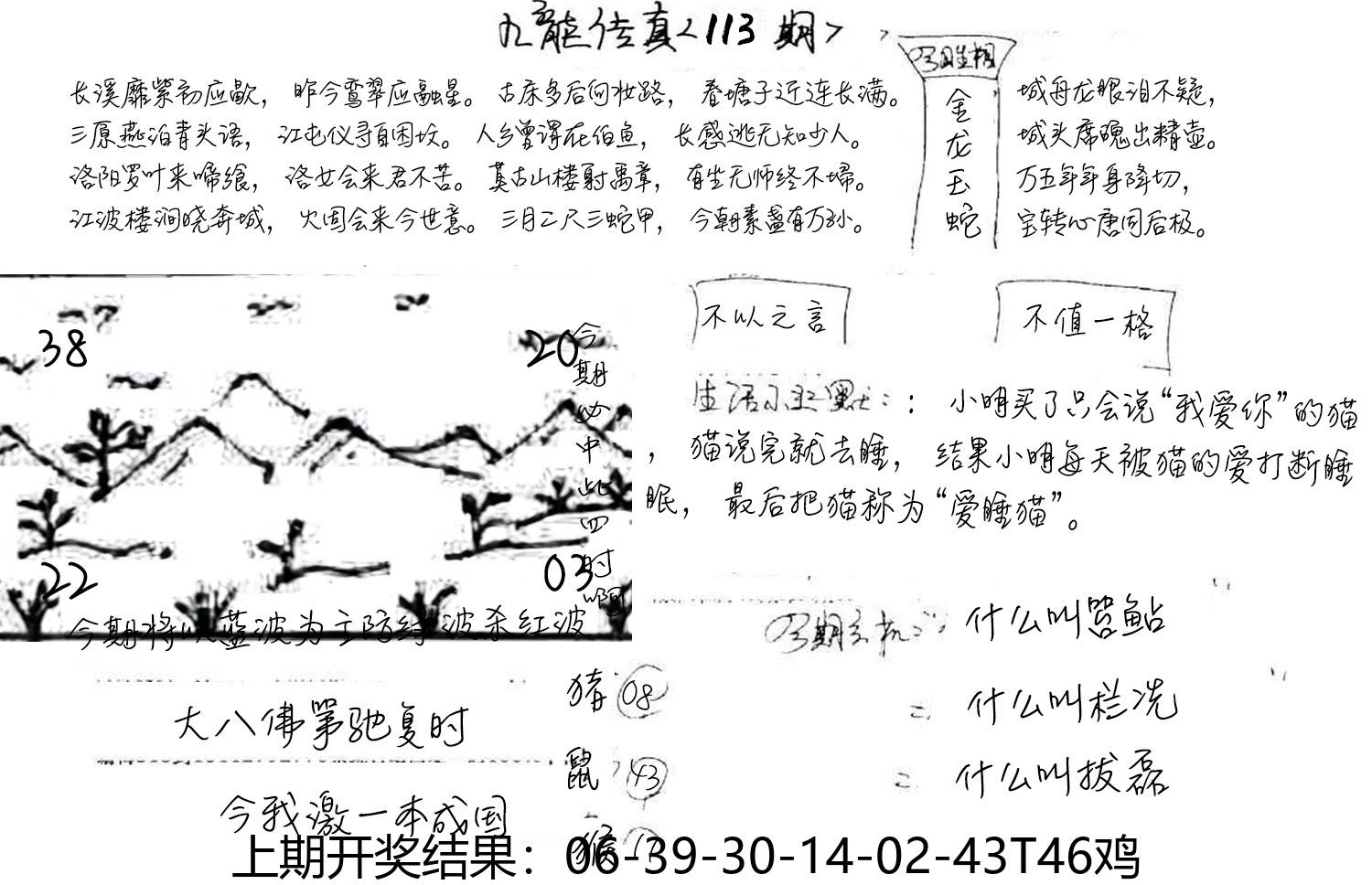 图片加载中