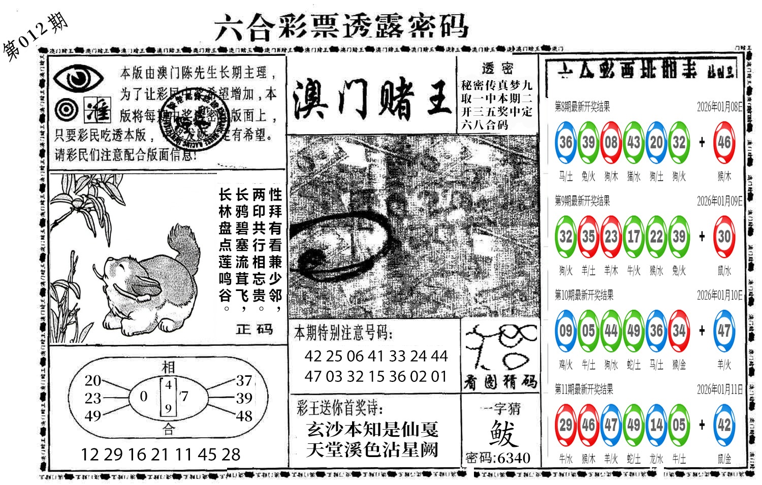 图片加载中