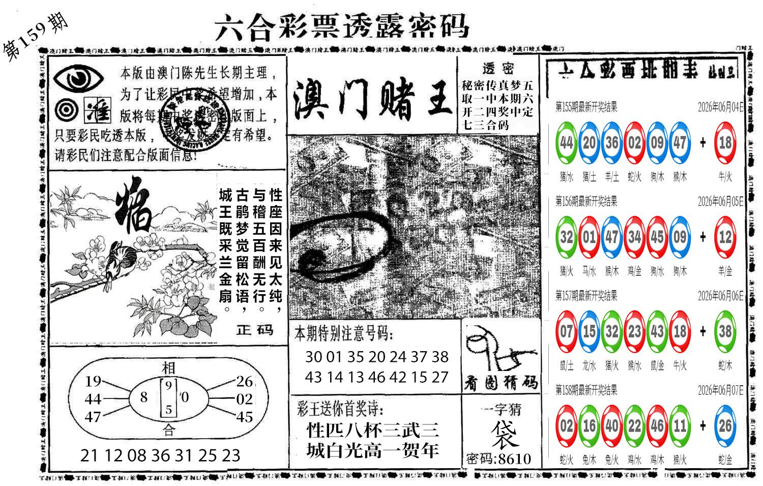 图片加载中