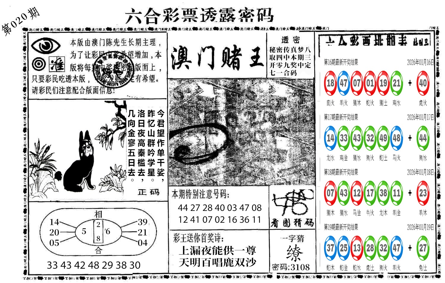 图片加载中