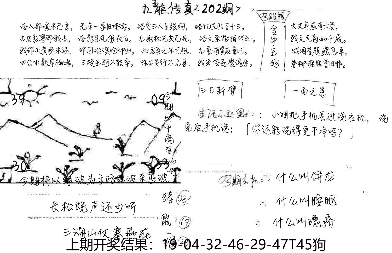 图片加载中