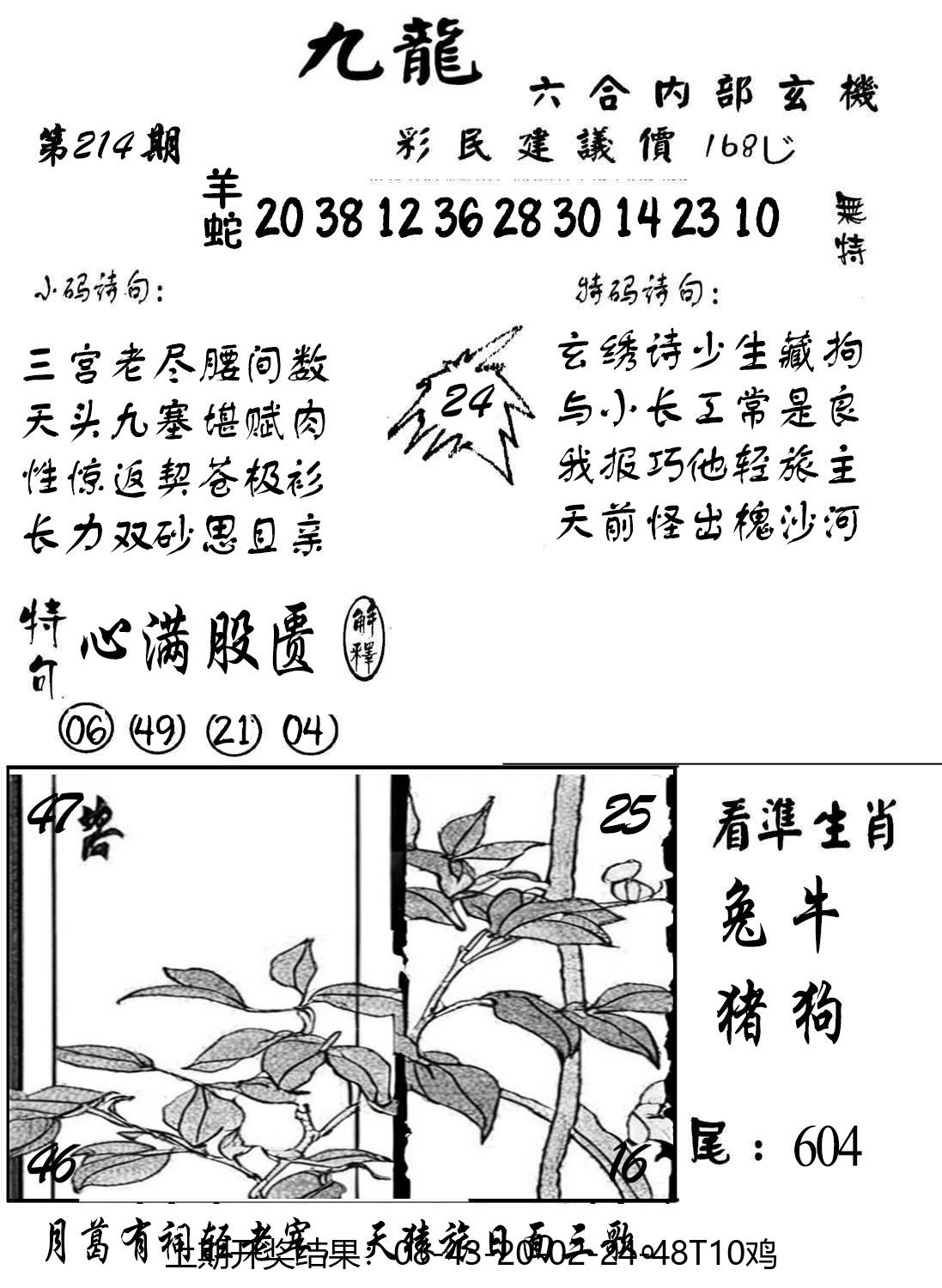 图片加载中