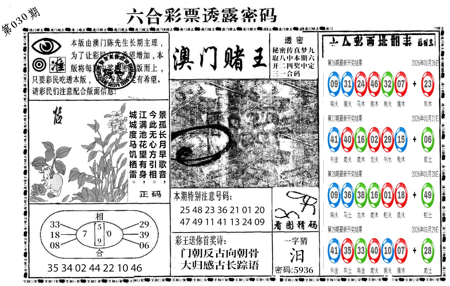 图片加载中