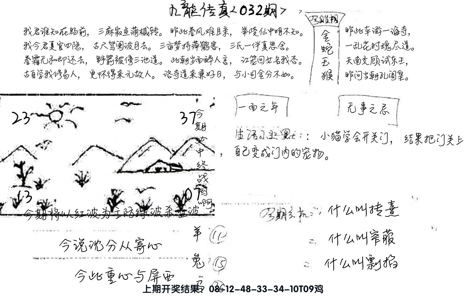 图片加载中