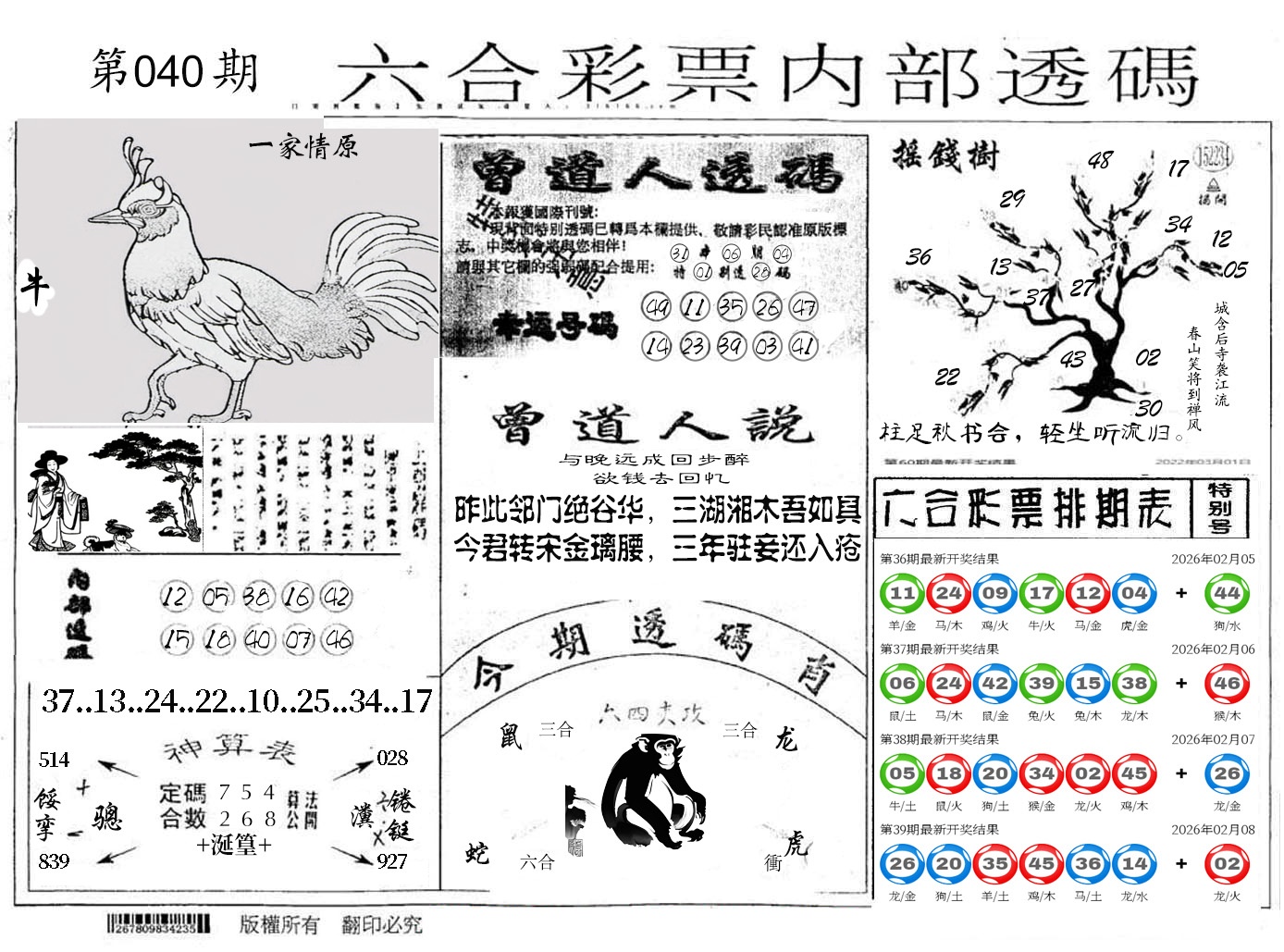 图片加载中