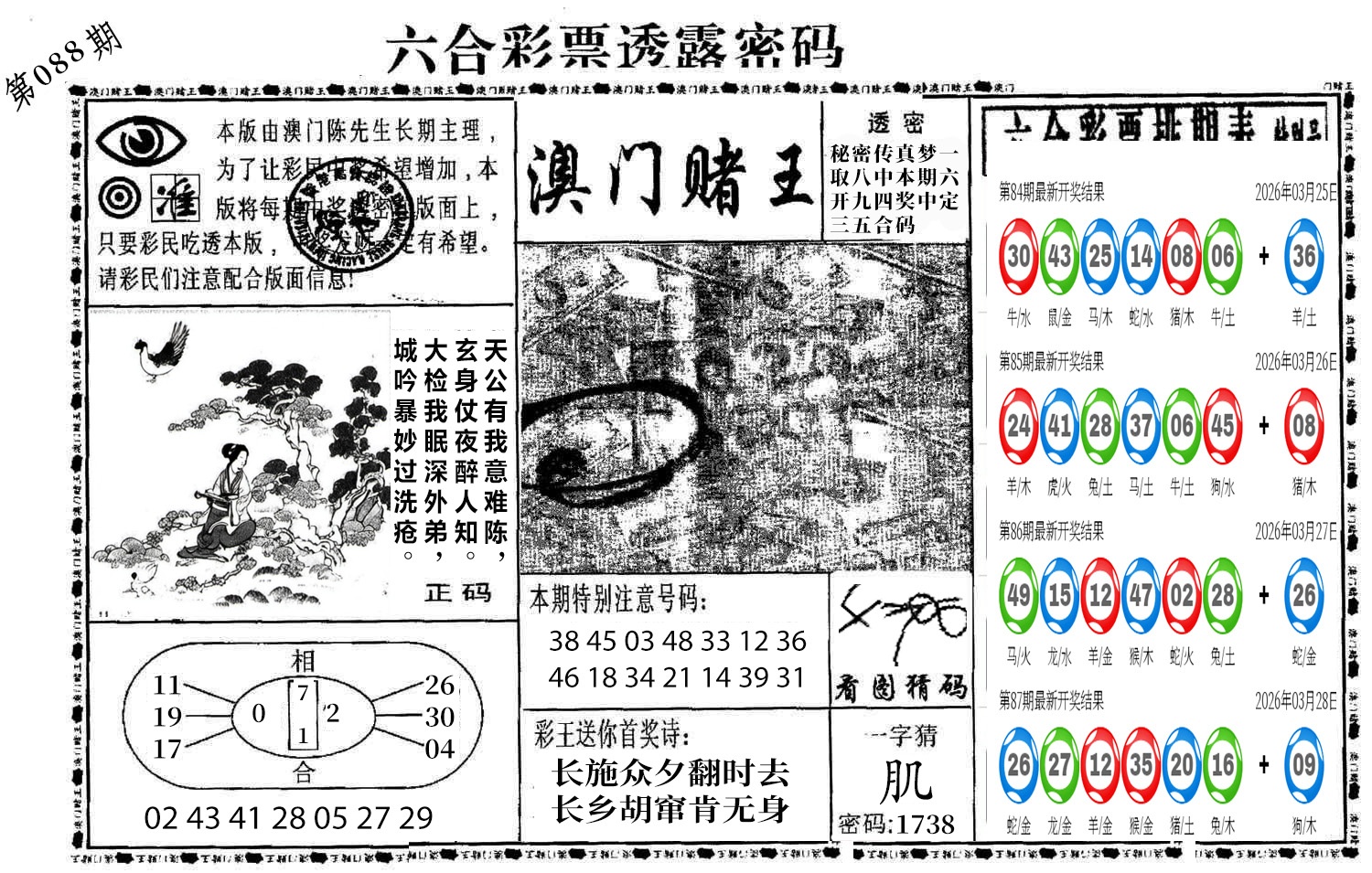 图片加载中