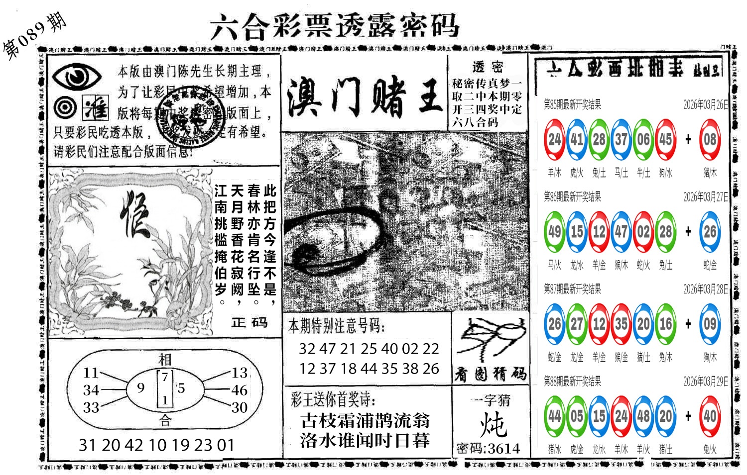 图片加载中