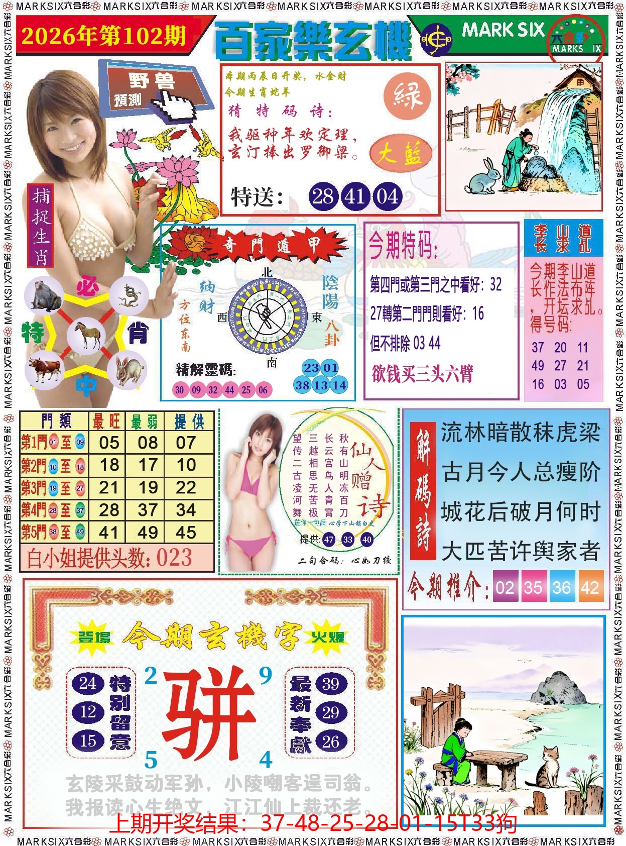 图片加载中