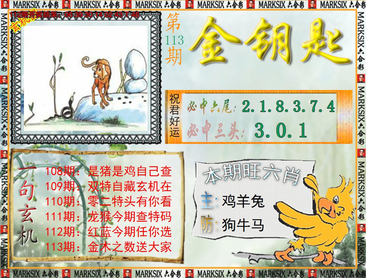 图片加载中