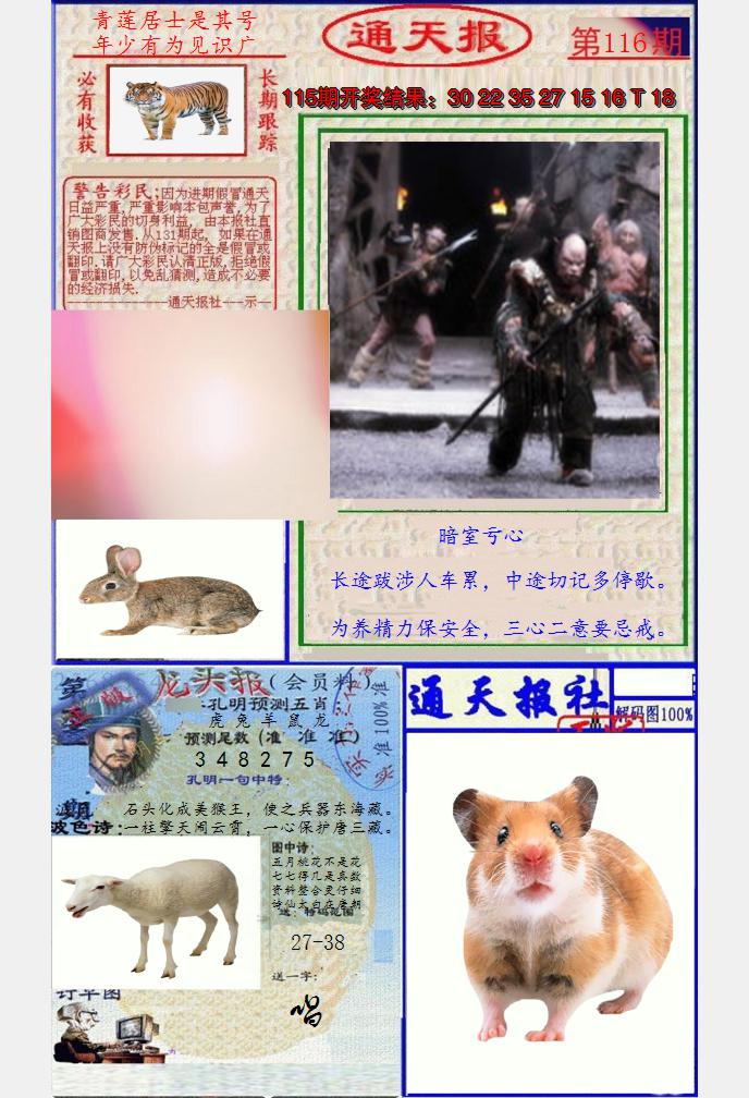 图片加载中