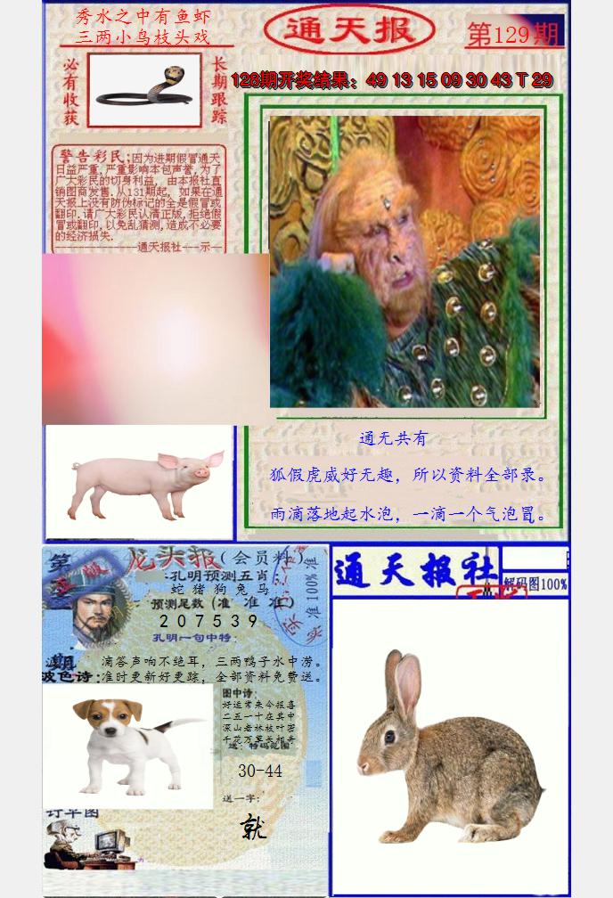 图片加载中