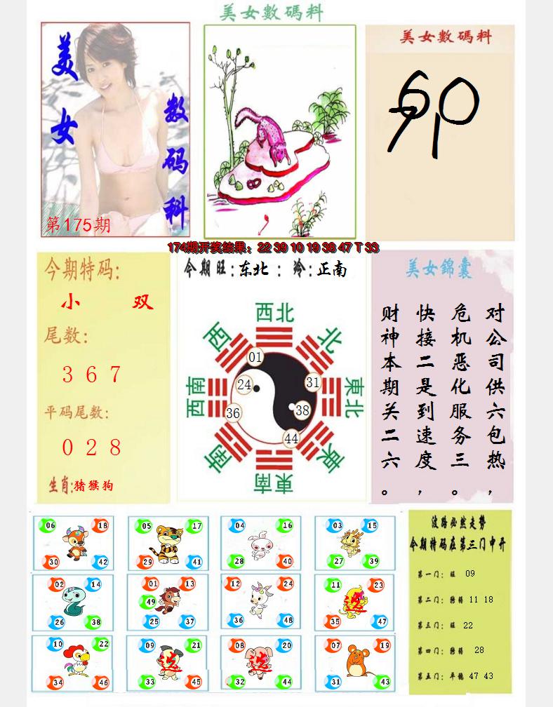 图片加载中