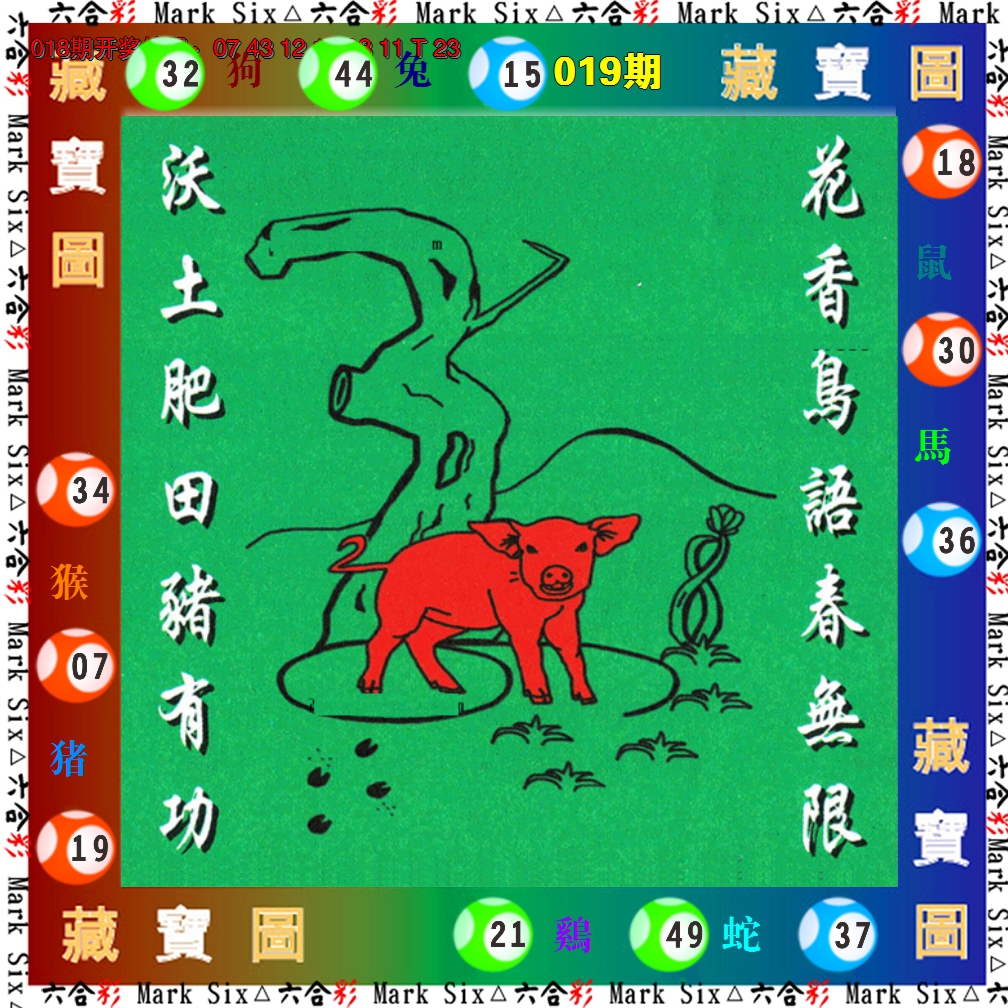 图片加载中