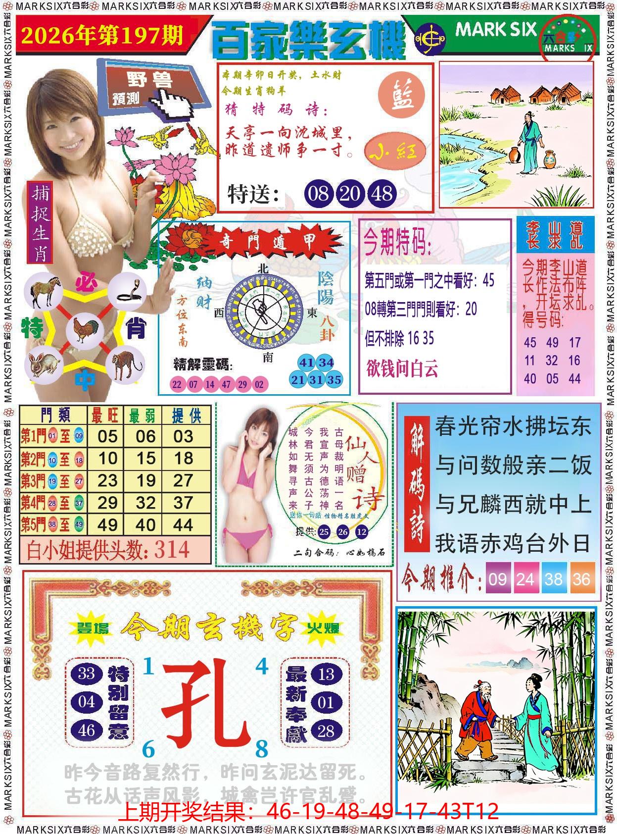 图片加载中