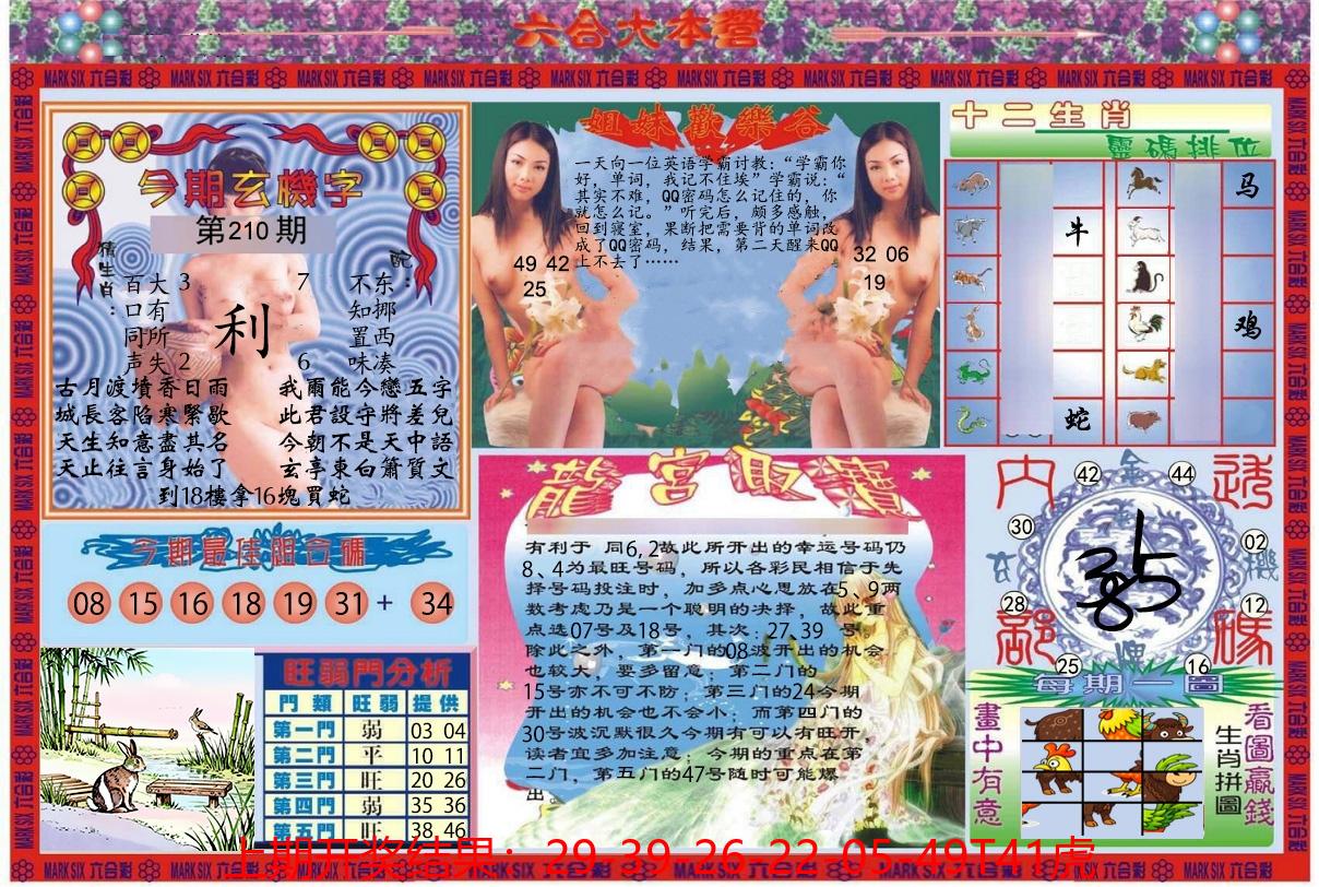 图片加载中