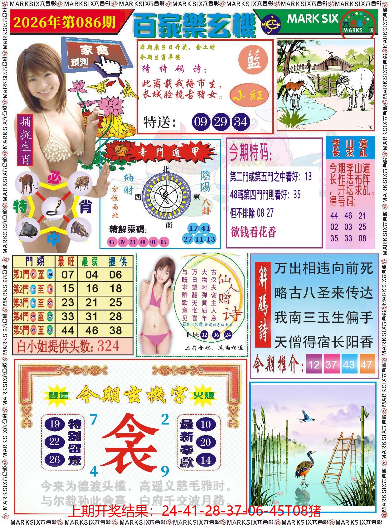 图片加载中